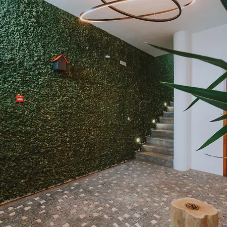 Flh Casa Branca Madeira شقة