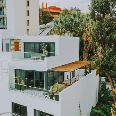 Daire Flh Casa Branca Madeira *