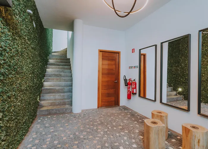 公寓 Flh Casa Branca Madeira 丰沙尔