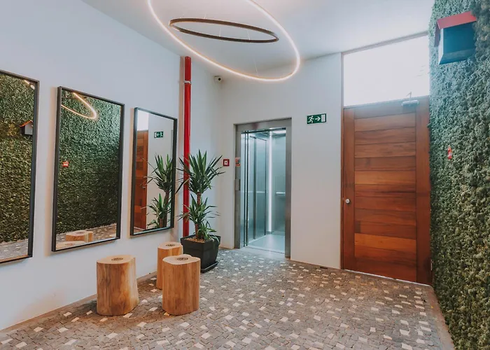 Flh Casa Branca Madeira