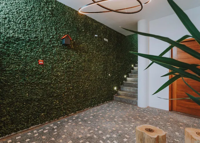 Flh Casa Branca Madeira 公寓